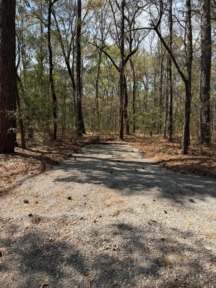 6321 Bears Bluff Road, Wadmalaw Island, SC 29487 - #2