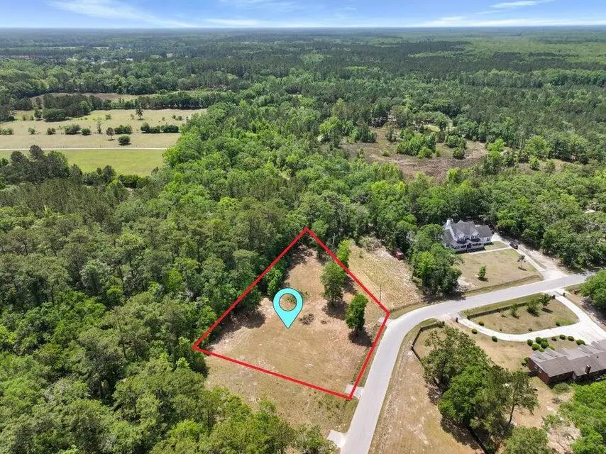 00 Capers Road, Walterboro, SC 29488 - #3