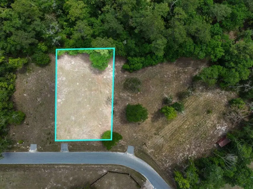 0 Capers Road, Walterboro, SC 29488 - #1