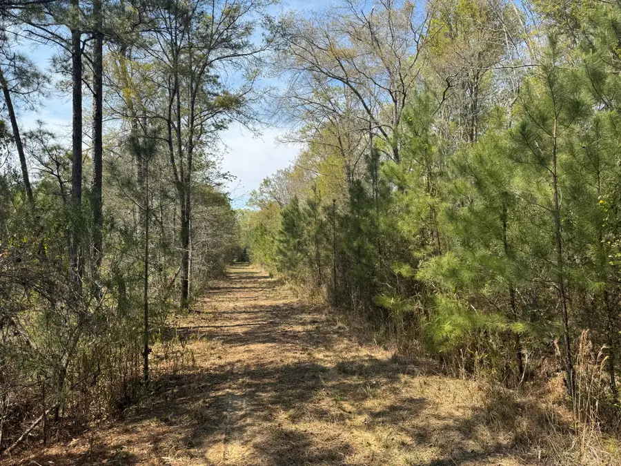 0 Getaway Lane, Pinopolis, SC 29469 - #3