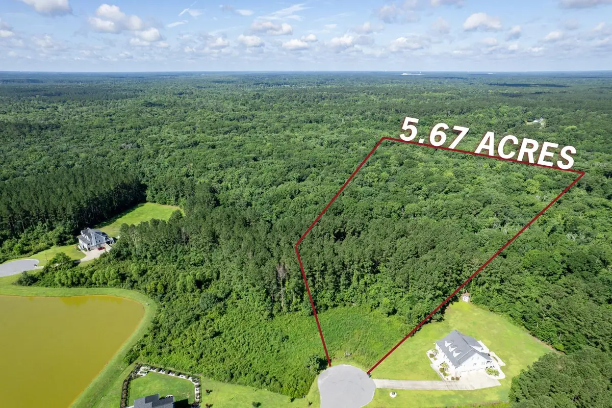 1336 Wood Sorrel Drive, Moncks Corner, SC 29461 - #1