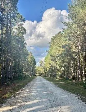 696 Bedon Road, Walterboro, SC 29488 - #3