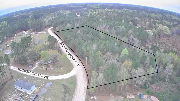 Tbd Survivor Court, Round O, SC 29474