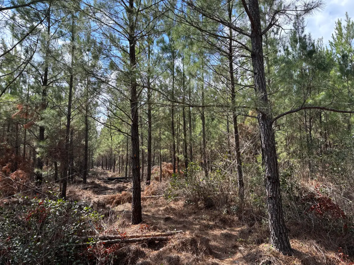 11 Red Oak Road, Cottageville, SC 29435 - #1