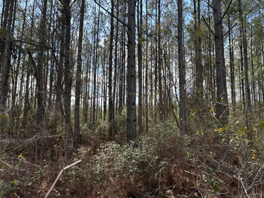 11 Red Oak Road, Cottageville, SC 29435 - #3