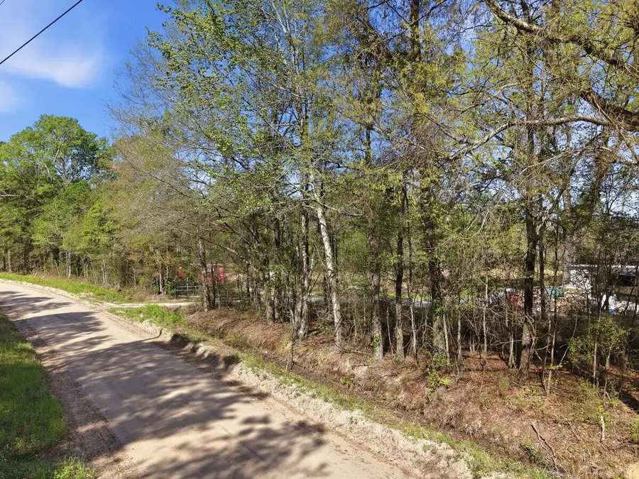 N/A Longbrook Drive, Bowman, SC 29018 - #3