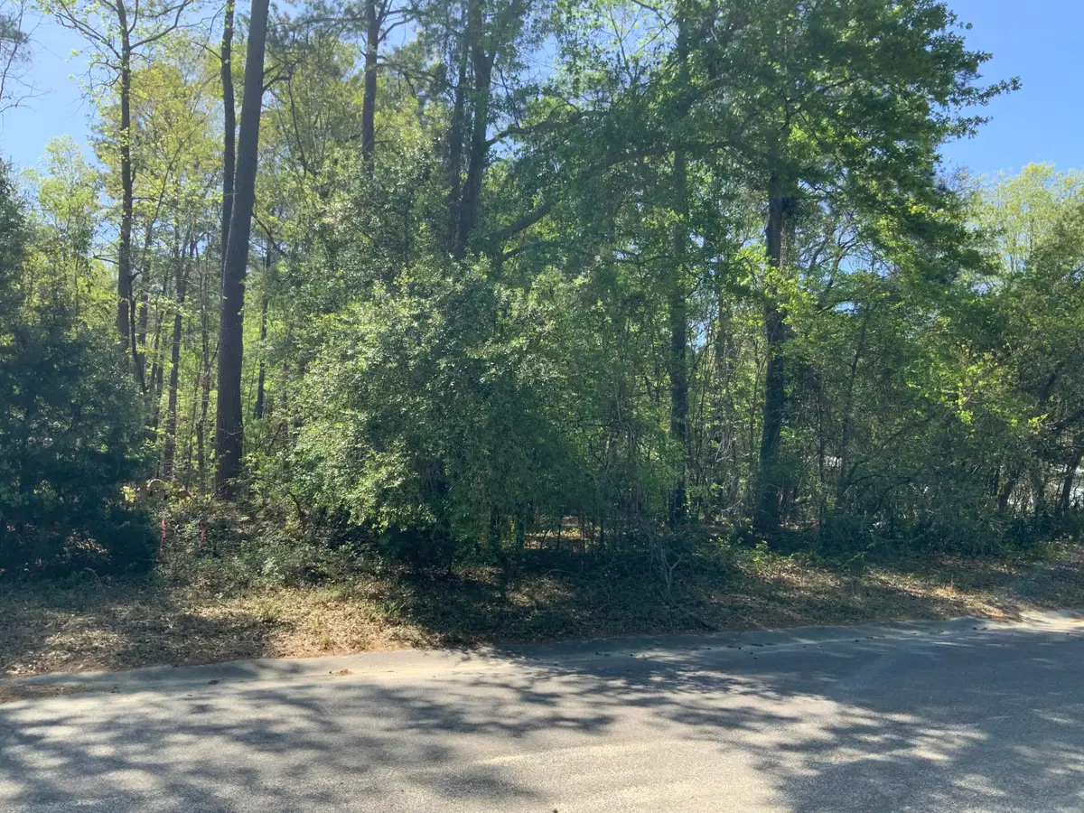 0 Ash Hill Drive, Eutawville, SC 29048 - #1