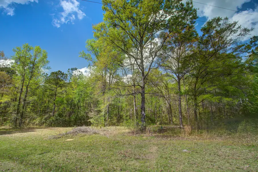 5865 Octavia, Ravenel, SC 29470 - #2