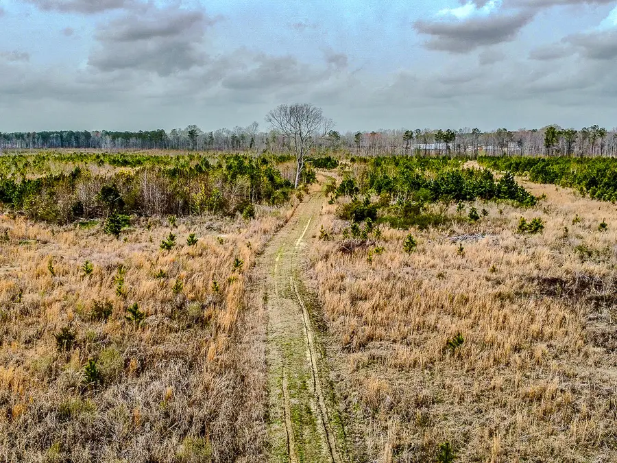 0 S Locust Avenue, Denmark, SC 29042 - #2