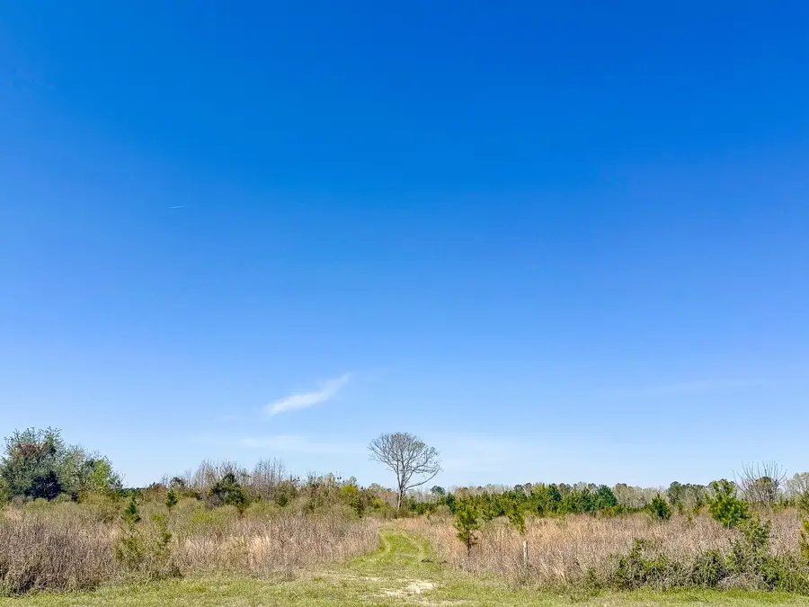 0 S Locust Avenue, Denmark, SC 29042 - #3