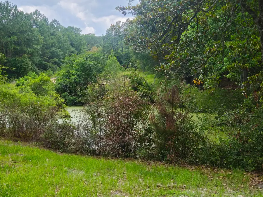 126 Rattlensnake Trail, Walterboro, SC 29488 - #3