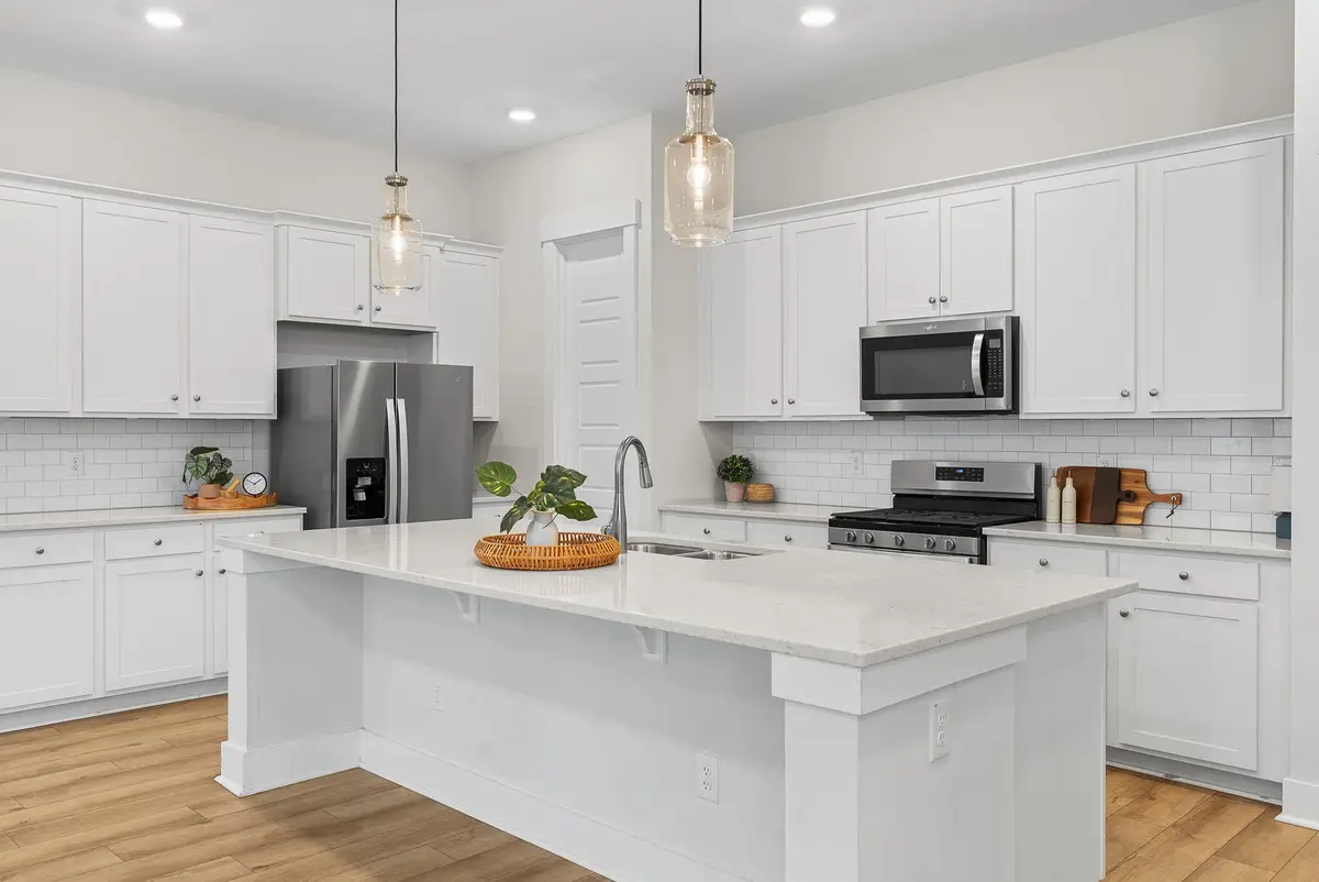 125 Trumpet Vine Drive, Summerville, SC 29483 - #1