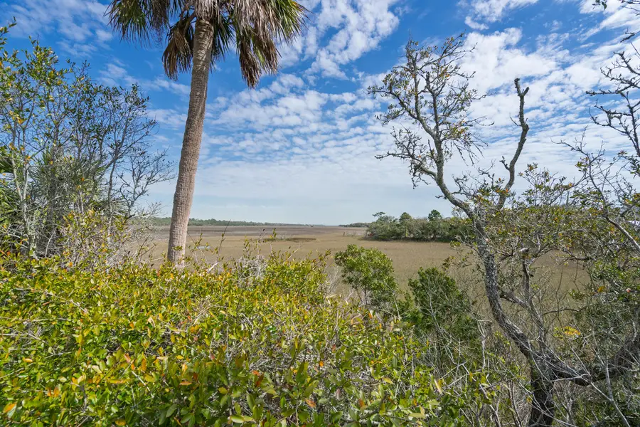 202 Jungle Shores Drive, Edisto Island, SC 29438 - #3