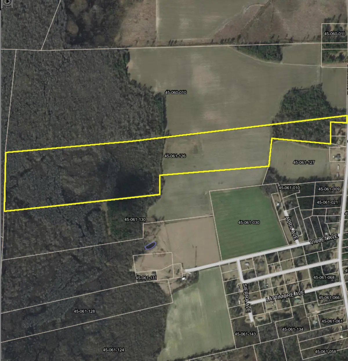 413 Lynchburg Road, Kingstree, SC 29556 - #1