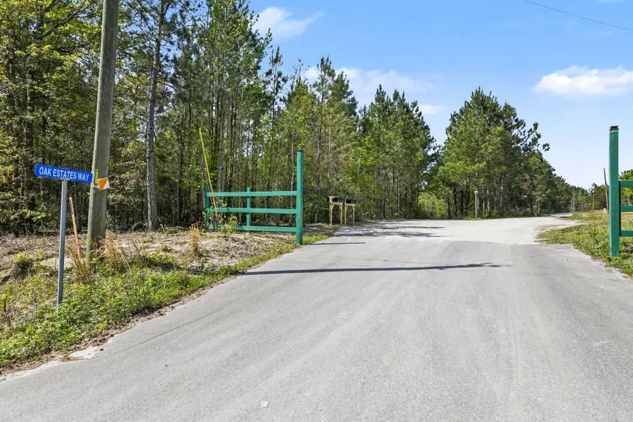 132 Oak Estates Way, Ridgeville, SC 29472 - #2