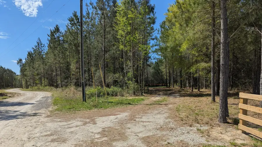 132 Oak Estates Way, Ridgeville, SC 29472 - #3