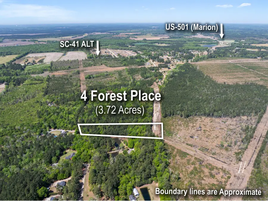 4 Forest Place, Marion, SC 29571 - #2