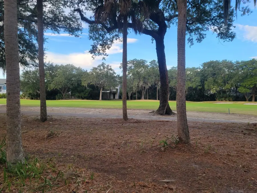 260 Driftwood Lane, Edisto Island, SC 29438 - #2