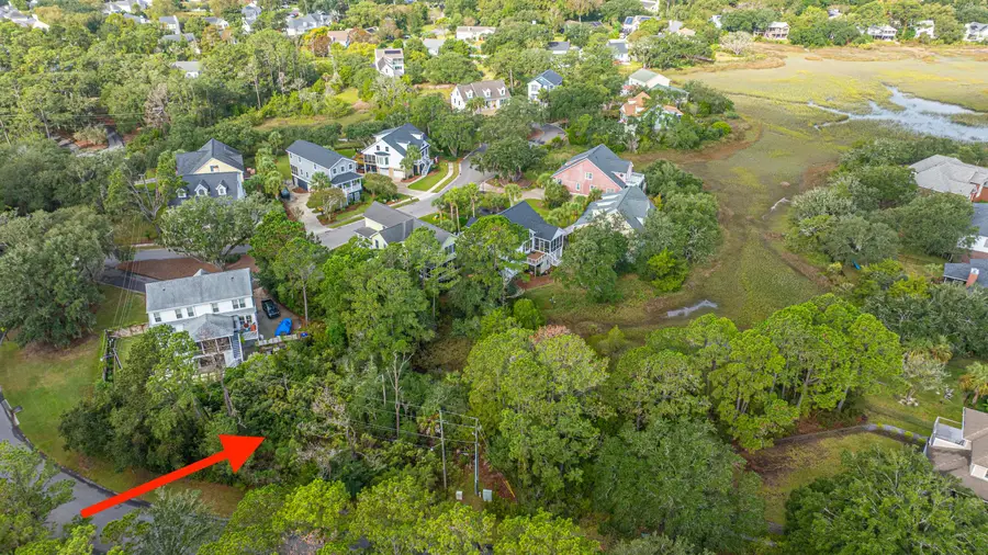 1250 Seaside Plantation Drive, Charleston, SC 29412 - #3
