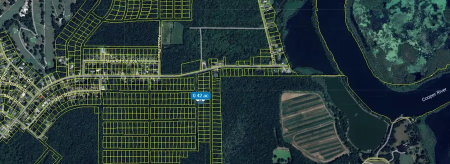 1234 Ot Wallace Boulevard, Moncks Corner, SC 29461 - #2