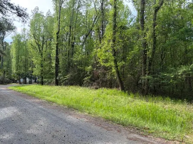 Lot 12a Osprey Drive, Moncks Corner, SC 29461 - #1