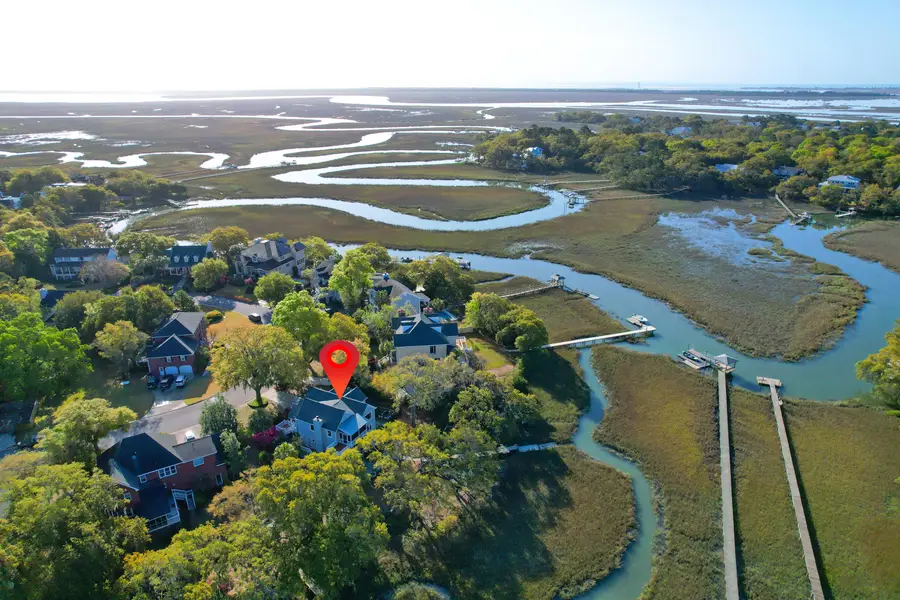 887 Parrot Creek Way, Charleston, SC 29412 - #2