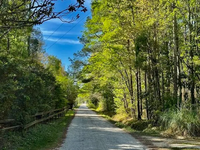 1183 White Road, Awendaw, SC 29429 - #3