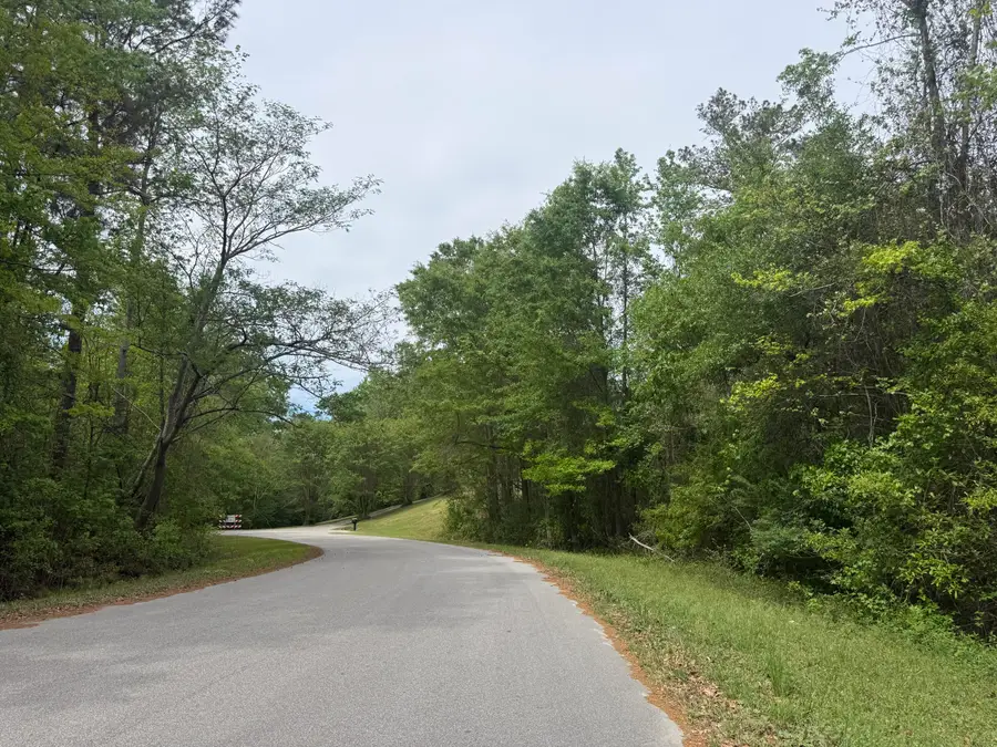 0 Longest Drive, Saint Matthews, SC 29135 - #3