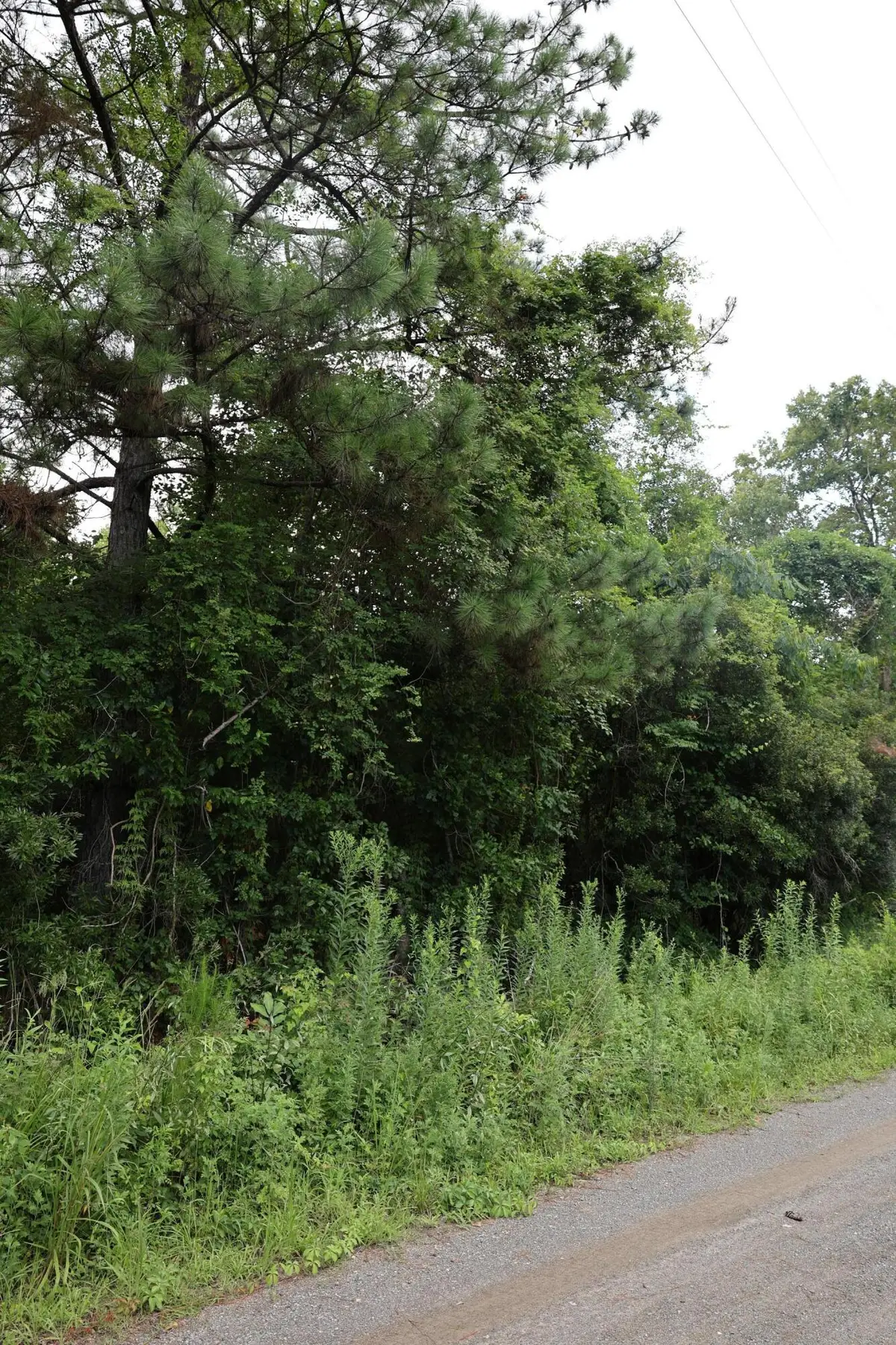 45 Partridge Road, Kingstree, SC 29556 - #1