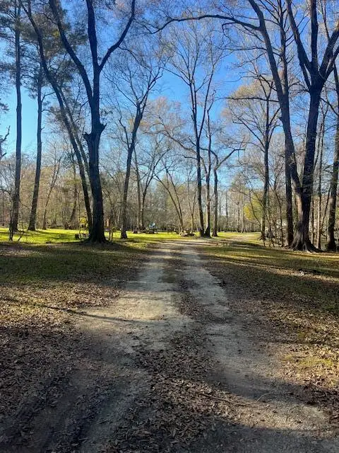 51 Mendel Court, Round O, SC 29474 - #1