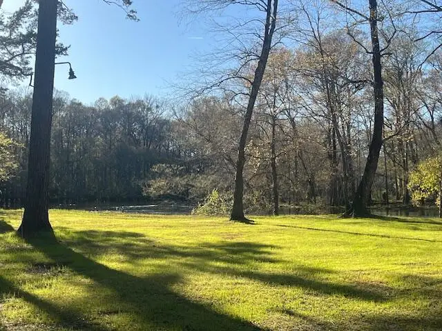 51 Mendel Court, Round O, SC 29474 - #3