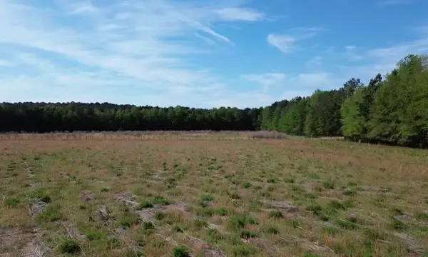 000 Jefferies Highway, Walterboro, SC 29488