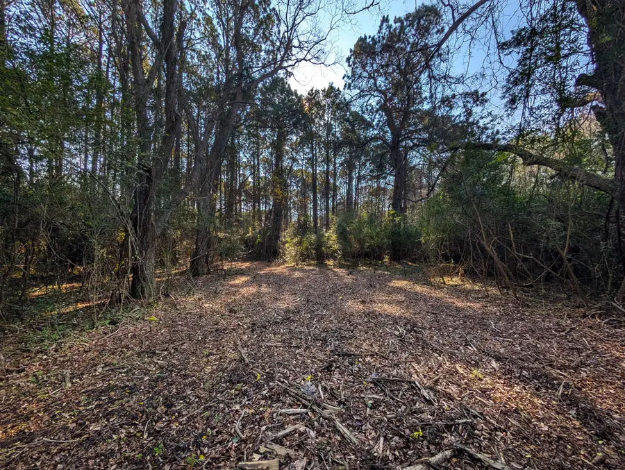 0 N Highway 17 Highway #Tract 2, McClellanville, SC 29458 - #2