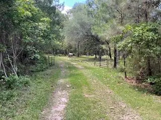 8119 S Loafer Glory Lane, Edisto Island, SC 29438 - #3