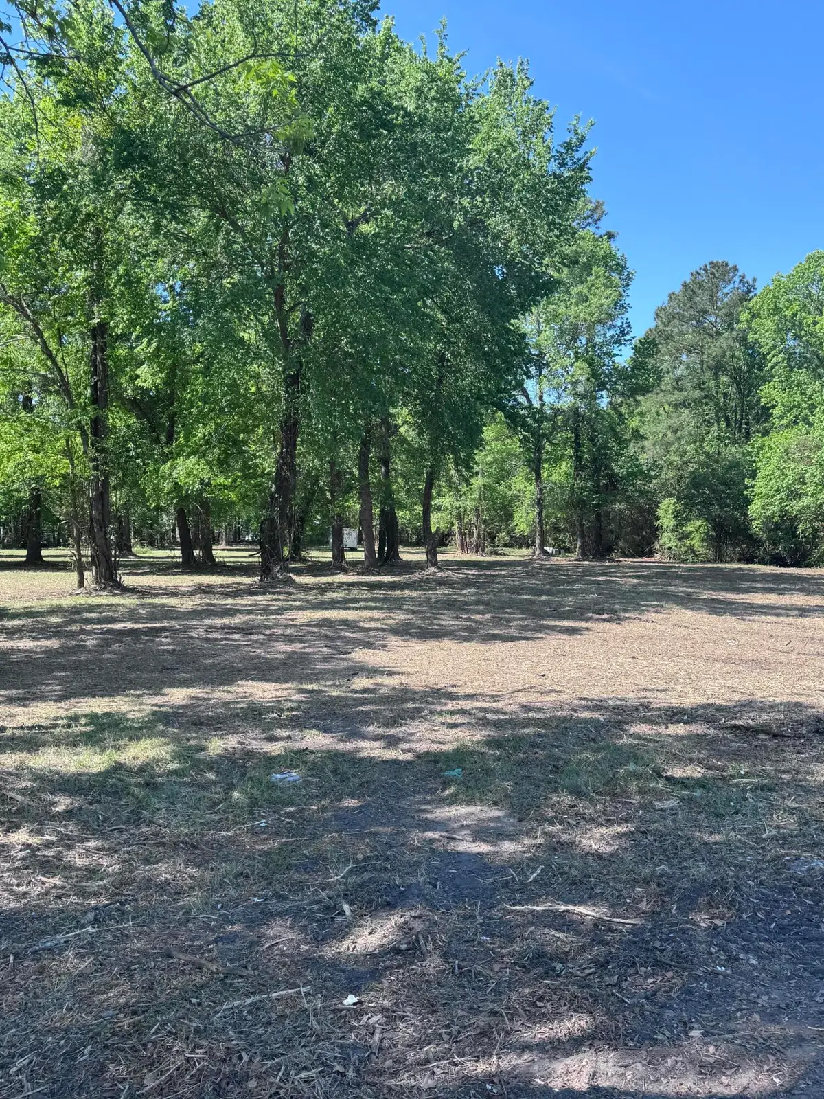 465 E Main Street, Moncks Corner, SC 29461 - #1