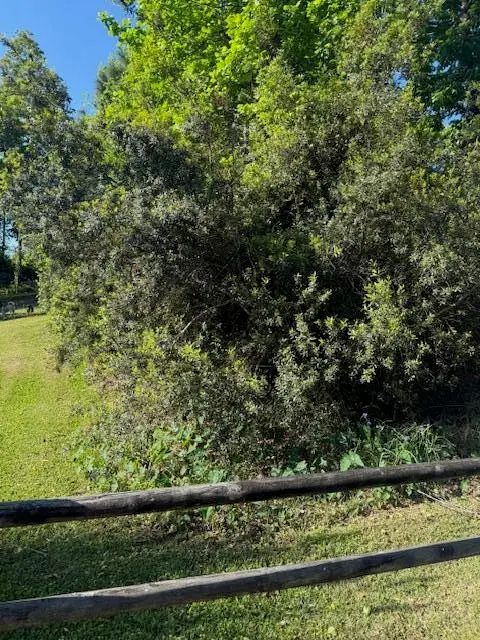 928 Valley Street, Hanahan, SC 29410 - #2