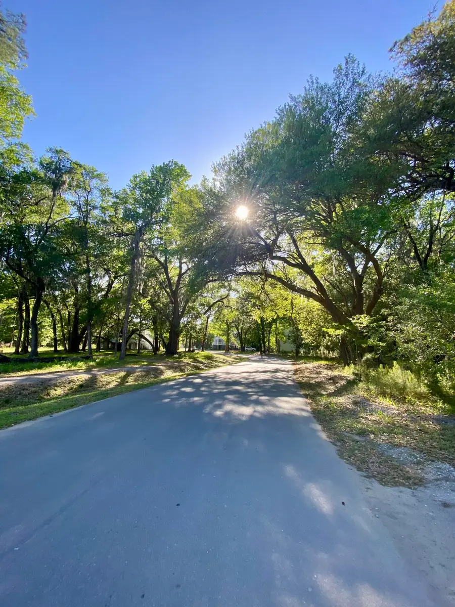 3136 Vanessa Lynne Lane, Johns Island, SC 29455 - #3