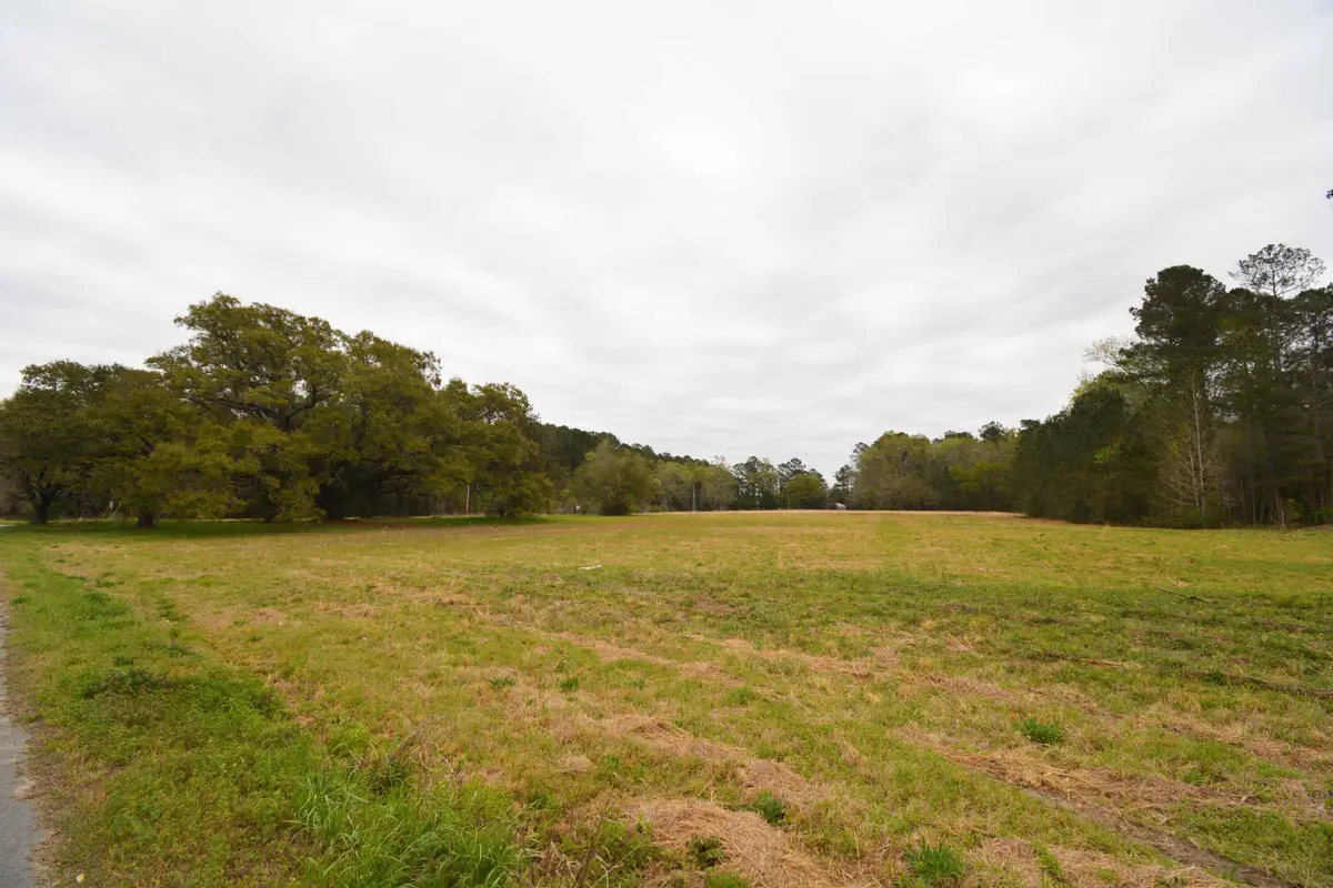 0 Morrisville Road, Andrews, SC 29510 - #1