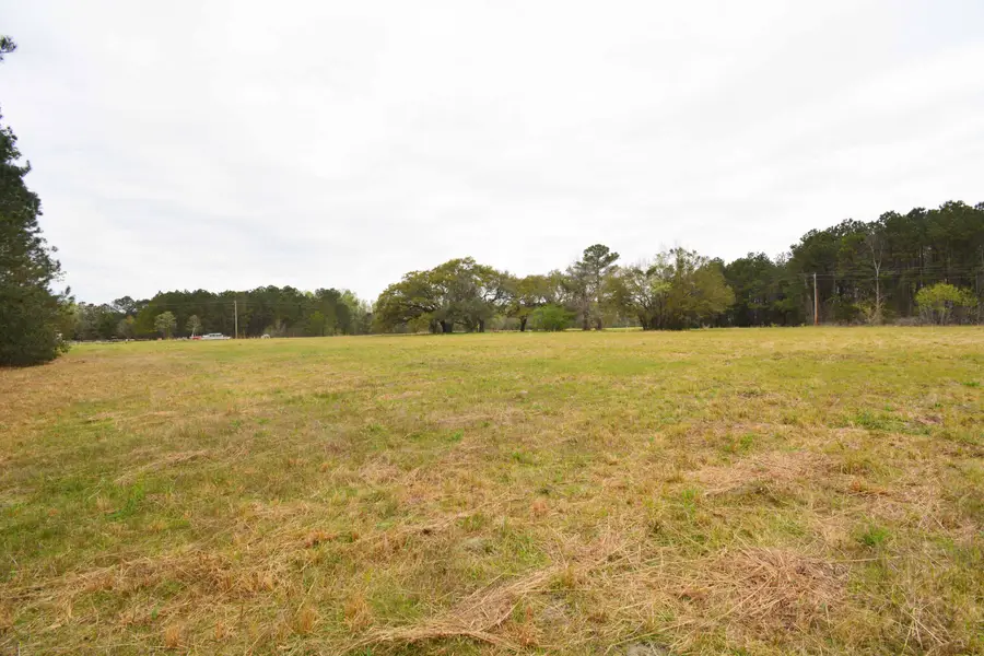 0 Morrisville Road, Andrews, SC 29510 - #3