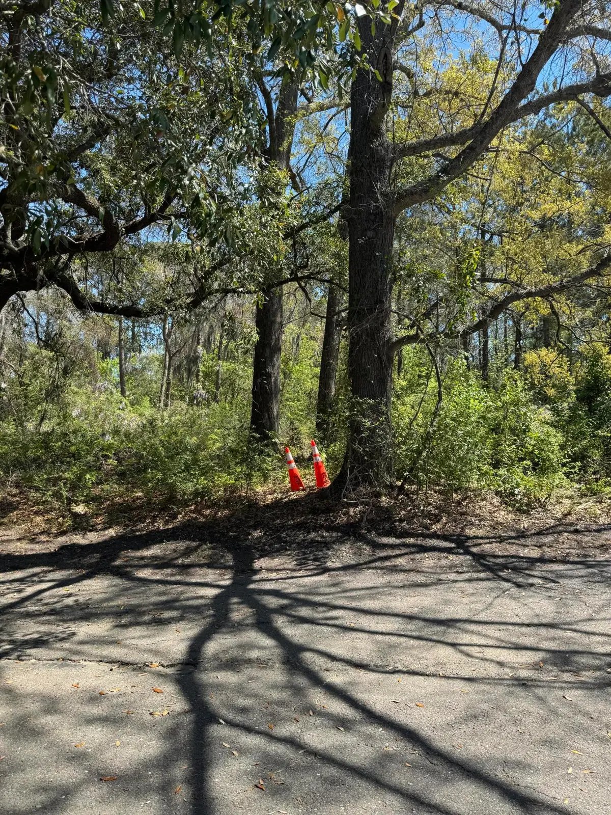 8730 N Park Boulevard, North Charleston, SC 29406 - #1