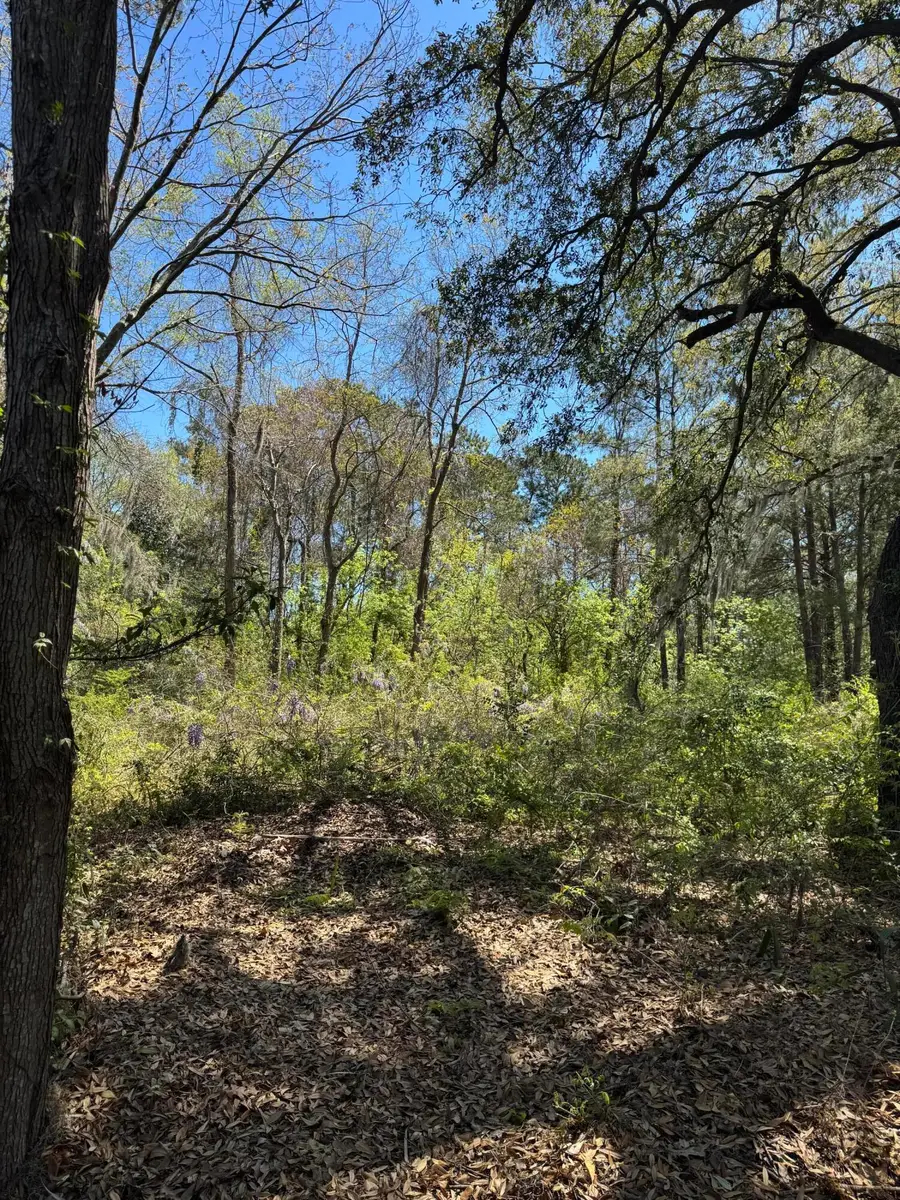 8730 N Park Boulevard, North Charleston, SC 29406 - #2