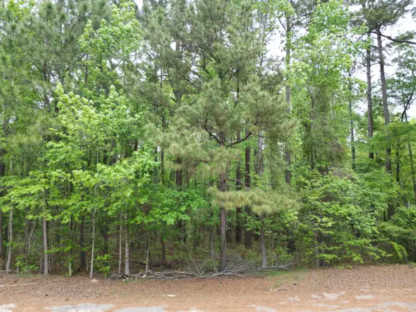 231 Morningside Drive, Saint Matthews, SC 29135