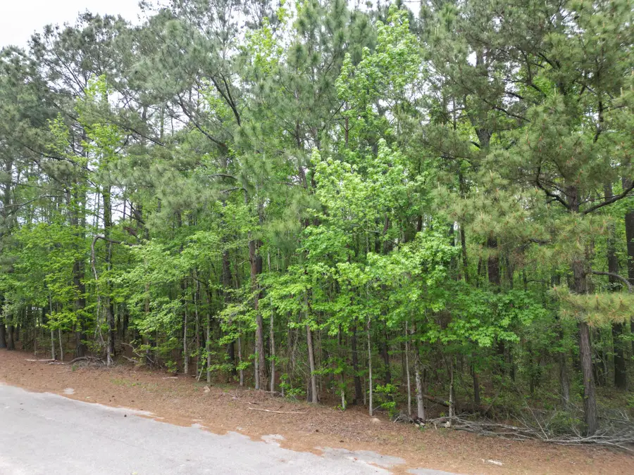 231 Morningside Drive, Saint Matthews, SC 29135 - #2