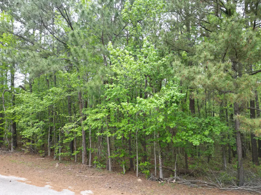 231 Morningside Drive, Saint Matthews, SC 29135 - #3