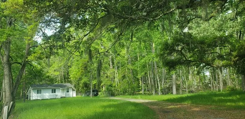 3876 New Hope Road, Johns Island, SC 29455 - #2