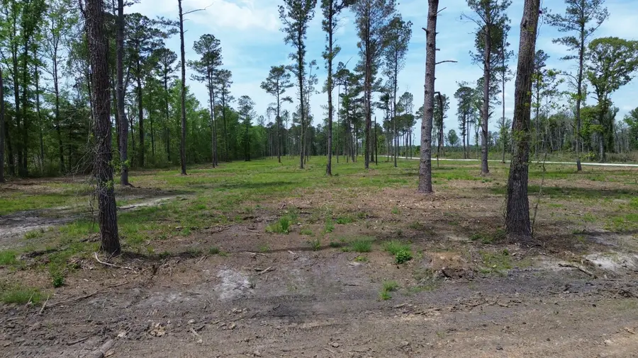 2 Highway 27, Holly Hill, SC 29059 - #2