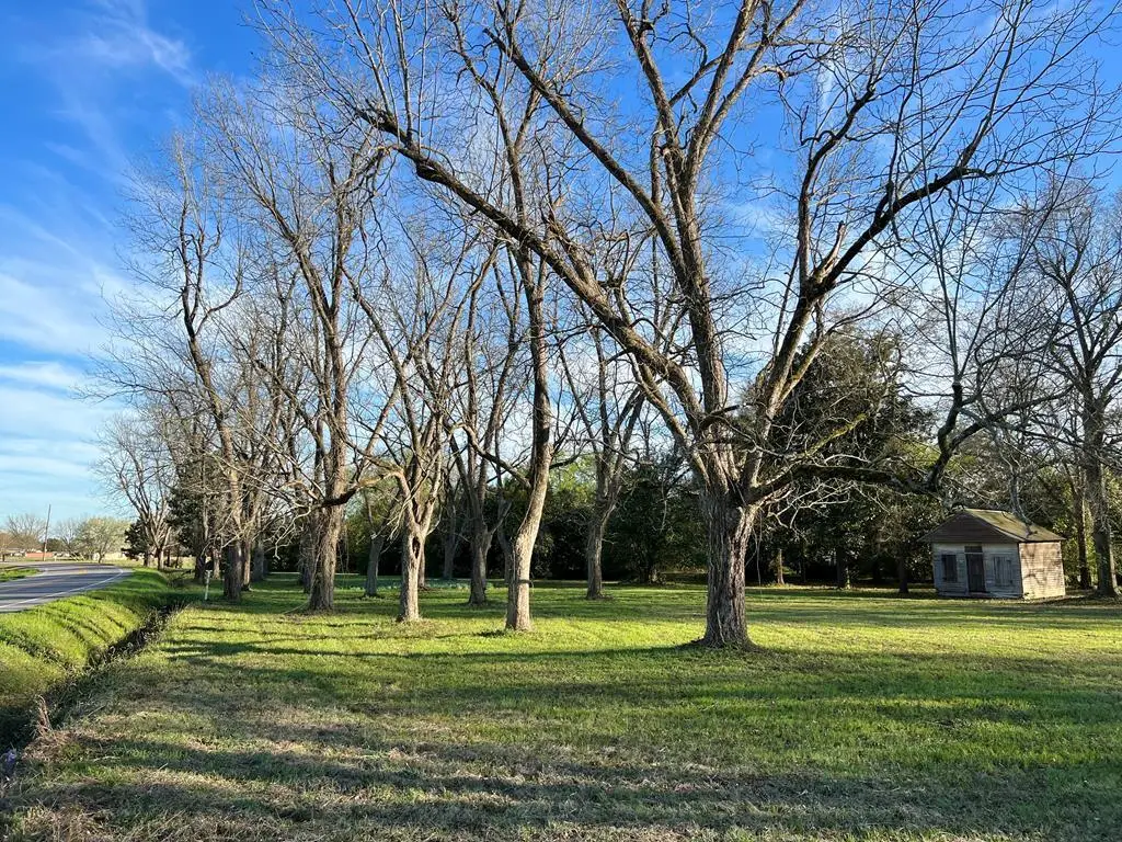 00 Brodie Street, Springfield, SC 29146 - #1