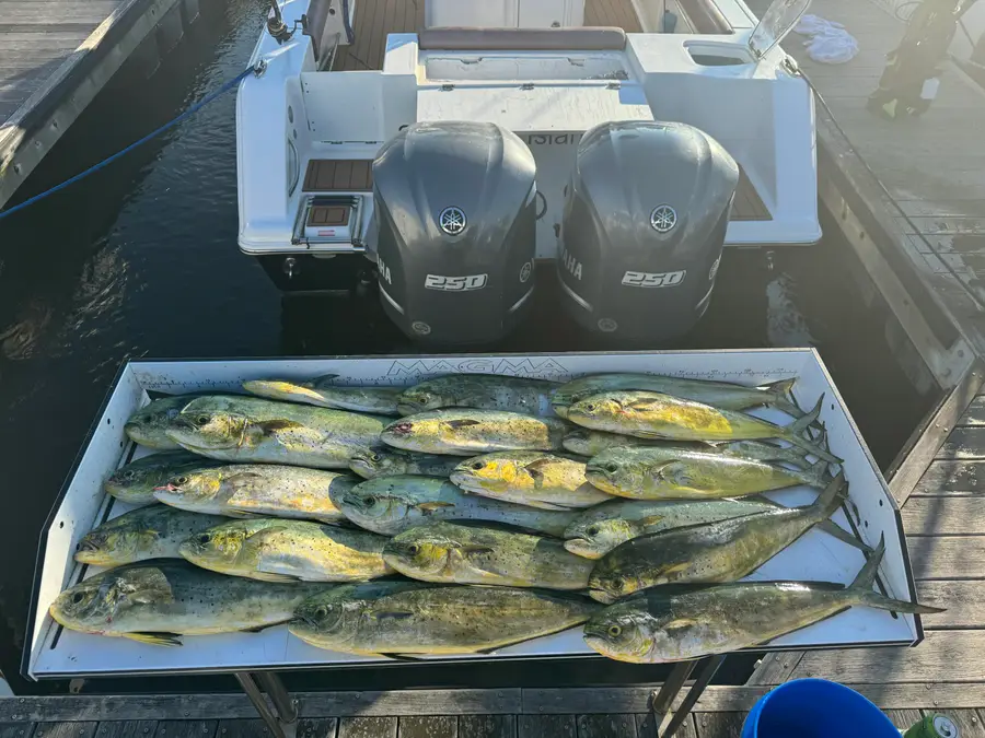 1880 Andell Bluff #Unit E-19, Seabrook Island, SC 29455 - #2