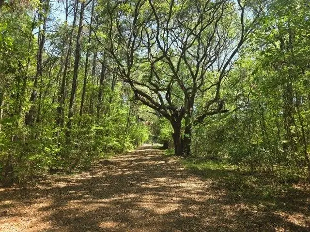 0 Bears Bluff #Lot B, Wadmalaw Island, SC 29487 - #1