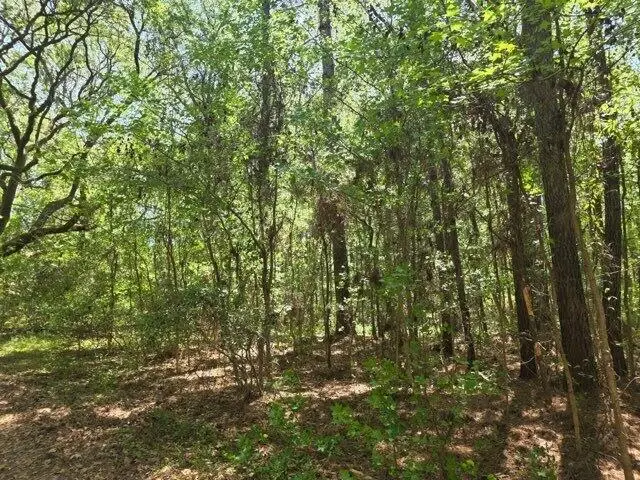 0 Bears Bluff #Lot B, Wadmalaw Island, SC 29487 - #3